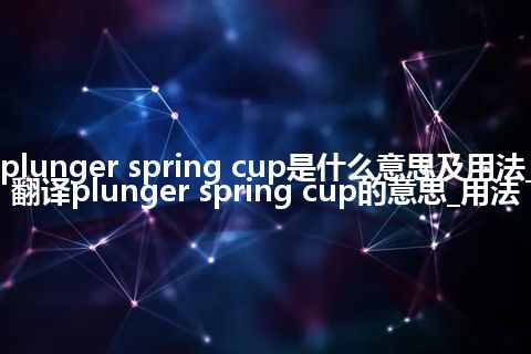 plunger spring cup是什么意思及用法_翻译plunger spring cup的意思_用法