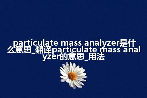 particulate mass analyzer是什么意思_翻译particulate mass analyzer的意思_用法