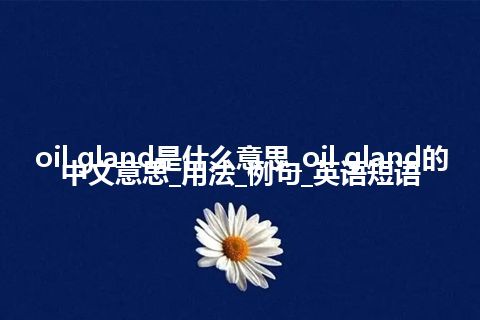 oil gland是什么意思_oil gland的中文意思_用法_例句_英语短语