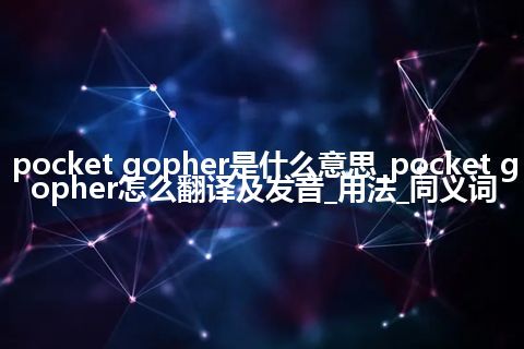 pocket gopher是什么意思_pocket gopher怎么翻译及发音_用法_同义词