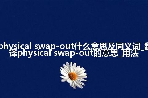 physical swap-out什么意思及同义词_翻译physical swap-out的意思_用法