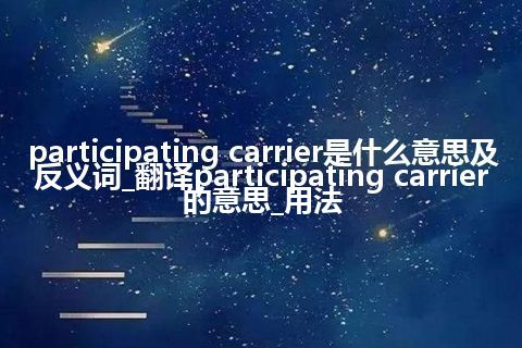 participating carrier是什么意思及反义词_翻译participating carrier的意思_用法
