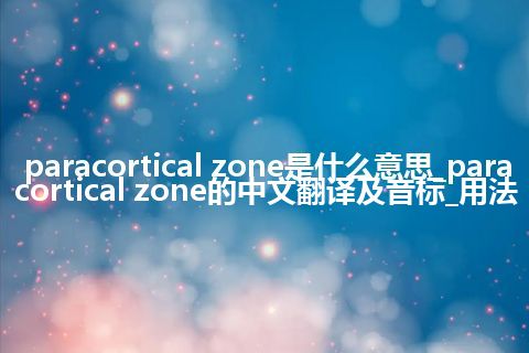 paracortical zone是什么意思_paracortical zone的中文翻译及音标_用法