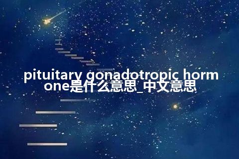 pituitary gonadotropic hormone是什么意思_中文意思