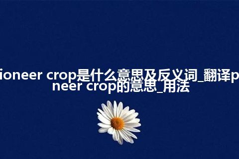 pioneer crop是什么意思及反义词_翻译pioneer crop的意思_用法