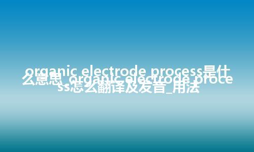 organic electrode process是什么意思_organic electrode process怎么翻译及发音_用法