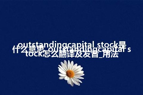 outstandingcapital stock是什么意思_outstandingcapital stock怎么翻译及发音_用法