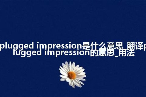 plugged impression是什么意思_翻译plugged impression的意思_用法
