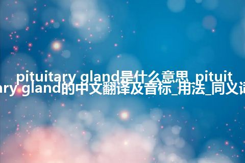 pituitary gland是什么意思_pituitary gland的中文翻译及音标_用法_同义词