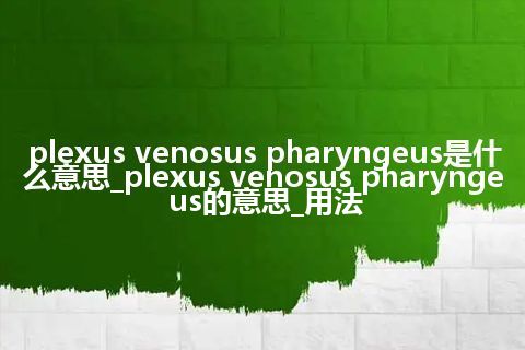 plexus venosus pharyngeus是什么意思_plexus venosus pharyngeus的意思_用法