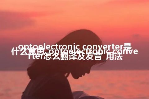 optoelectronic converter是什么意思_optoelectronic converter怎么翻译及发音_用法