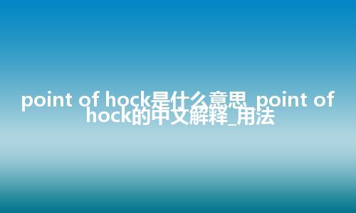 point of hock是什么意思_point of hock的中文解释_用法