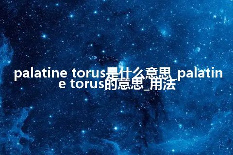 palatine torus是什么意思_palatine torus的意思_用法