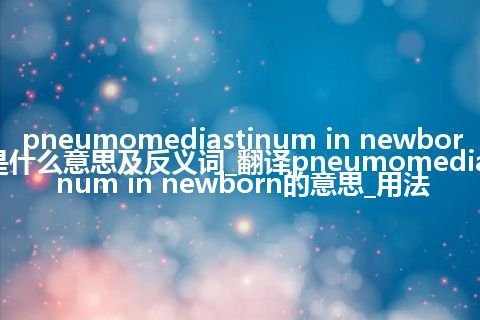 pneumomediastinum in newborn是什么意思及反义词_翻译pneumomediastinum in newborn的意思_用法