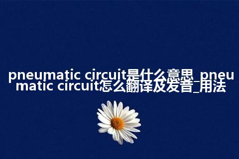 pneumatic circuit是什么意思_pneumatic circuit怎么翻译及发音_用法