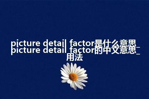 picture detail factor是什么意思_picture detail factor的中文意思_用法