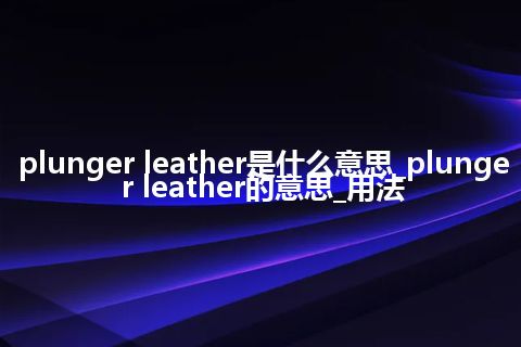 plunger leather是什么意思_plunger leather的意思_用法