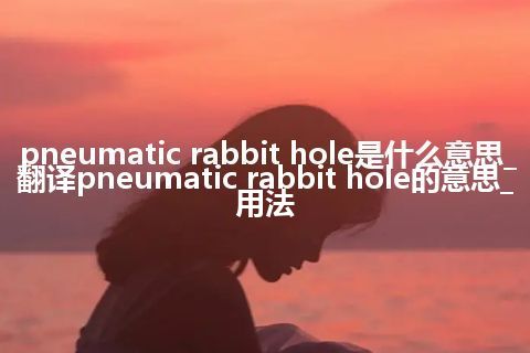 pneumatic rabbit hole是什么意思_翻译pneumatic rabbit hole的意思_用法