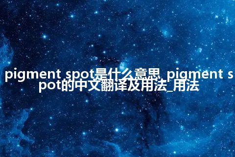 pigment spot是什么意思_pigment spot的中文翻译及用法_用法
