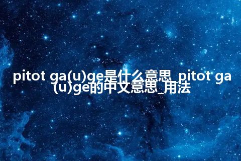 pitot ga(u)ge是什么意思_pitot ga(u)ge的中文意思_用法