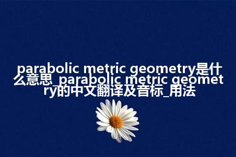 parabolic metric geometry是什么意思_parabolic metric geometry的中文翻译及音标_用法
