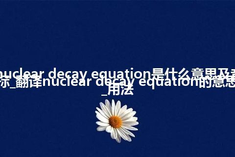 nuclear decay equation是什么意思及音标_翻译nuclear decay equation的意思_用法