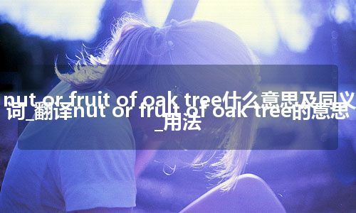 nut or fruit of oak tree什么意思及同义词_翻译nut or fruit of oak tree的意思_用法