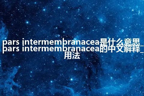 pars intermembranacea是什么意思_pars intermembranacea的中文解释_用法