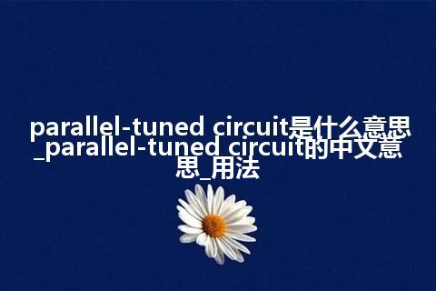 parallel-tuned circuit是什么意思_parallel-tuned circuit的中文意思_用法