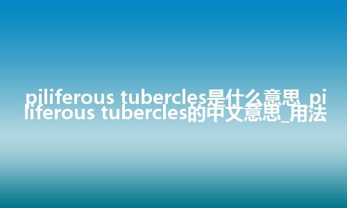 piliferous tubercles是什么意思_piliferous tubercles的中文意思_用法
