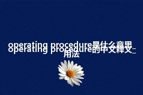 operating procedure是什么意思_operating procedure的中文释义_用法