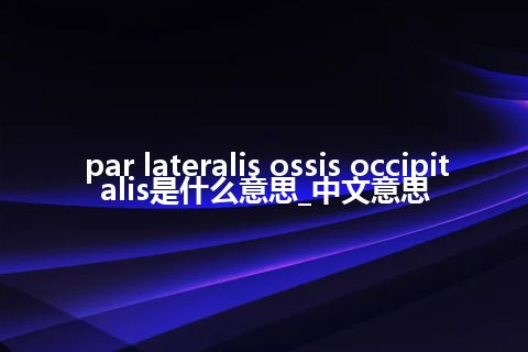 par lateralis ossis occipitalis是什么意思_中文意思