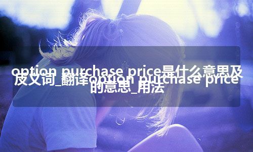 option purchase price是什么意思及反义词_翻译option purchase price的意思_用法