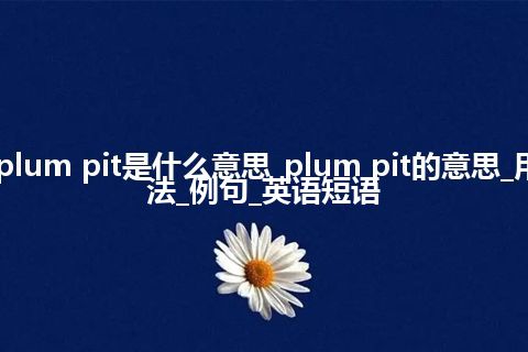 plum pit是什么意思_plum pit的意思_用法_例句_英语短语