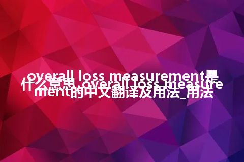 overall loss measurement是什么意思_overall loss measurement的中文翻译及用法_用法