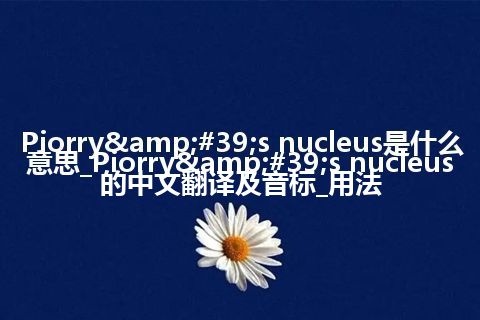 Piorry&#39;s nucleus是什么意思_Piorry&#39;s nucleus的中文翻译及音标_用法