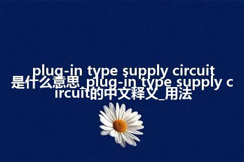 plug-in type supply circuit是什么意思_plug-in type supply circuit的中文释义_用法