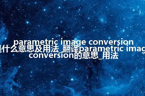 parametric image conversion是什么意思及用法_翻译parametric image conversion的意思_用法