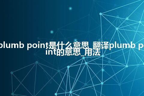 plumb point是什么意思_翻译plumb point的意思_用法