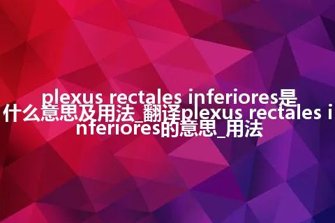 plexus rectales inferiores是什么意思及用法_翻译plexus rectales inferiores的意思_用法