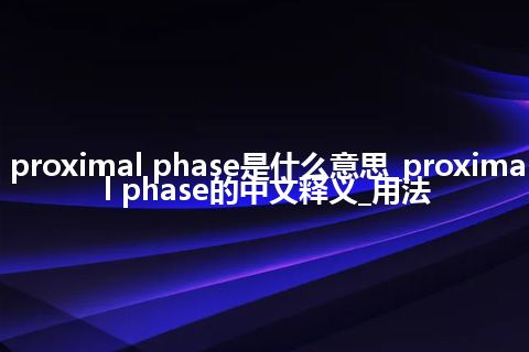 proximal phase是什么意思_proximal phase的中文释义_用法