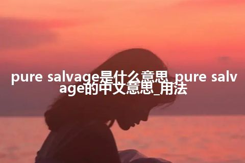 pure salvage是什么意思_pure salvage的中文意思_用法