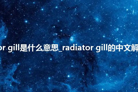 radiator gill是什么意思_radiator gill的中文解释_用法