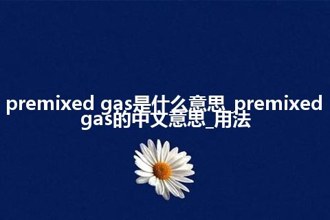 premixed gas是什么意思_premixed gas的中文意思_用法