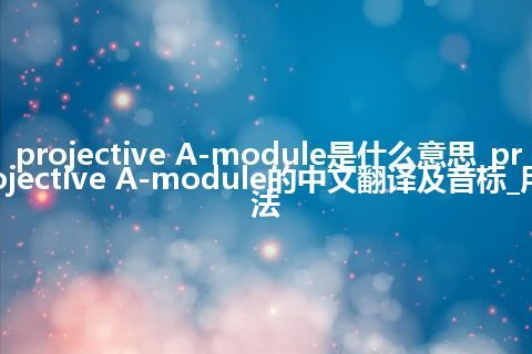 projective A-module是什么意思_projective A-module的中文翻译及音标_用法