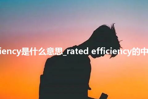 rated efficiency是什么意思_rated efficiency的中文意思_用法