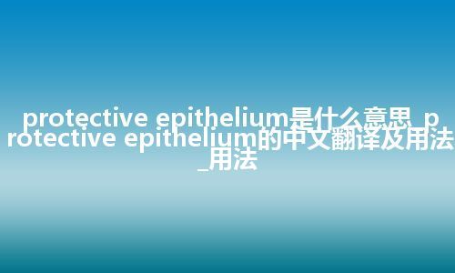 protective epithelium是什么意思_protective epithelium的中文翻译及用法_用法