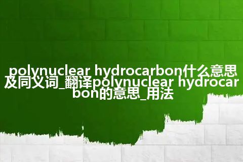 polynuclear hydrocarbon什么意思及同义词_翻译polynuclear hydrocarbon的意思_用法