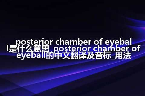 posterior chamber of eyeball是什么意思_posterior chamber of eyeball的中文翻译及音标_用法