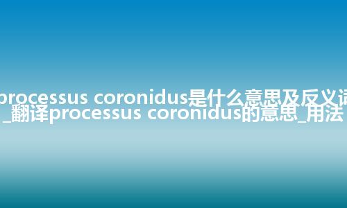processus coronidus是什么意思及反义词_翻译processus coronidus的意思_用法